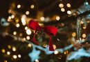 come mettere le luci sull'albero di Natale